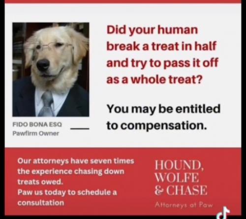 PAWS_Entitled_to_Compensation