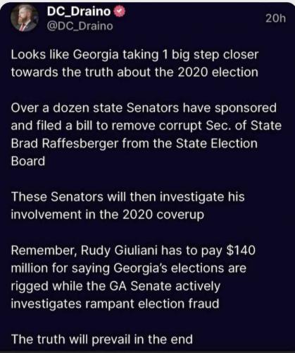 GA fraud 117