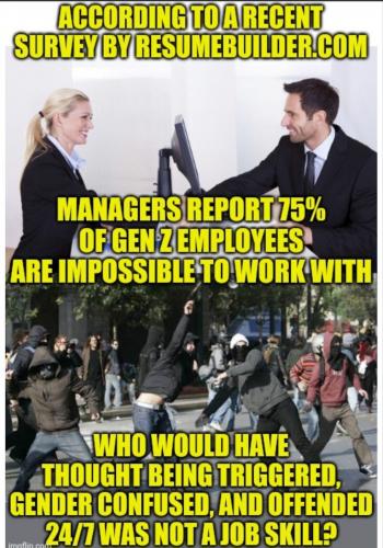 ResumeBuilder, GenZ, Millenials, Jobs -- Employee, Employer