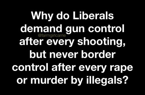 USA why do Liberals