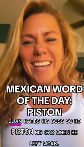 Screenshot_20240326-204121_Gallery