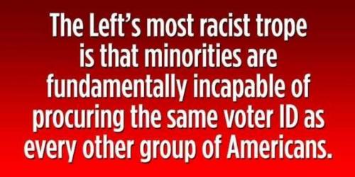 USA Left's racist trope