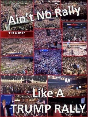 no rally
