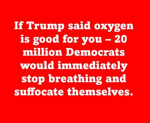 X 20 million Dems