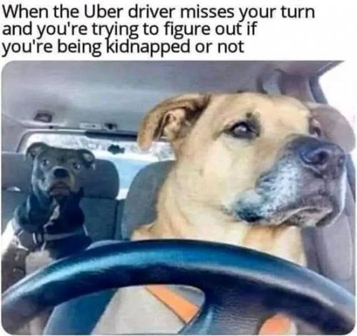 431568652_7146794975446529_8963970416763716232_n