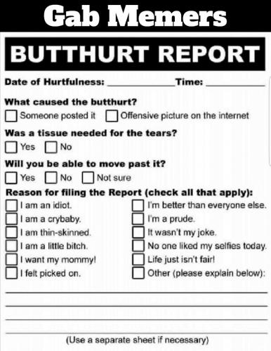 Gab memers butthurt report