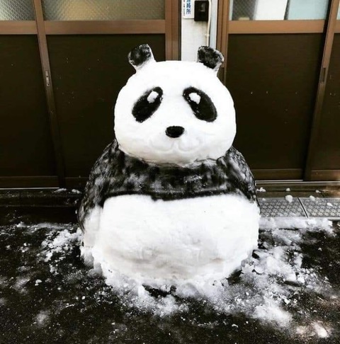 Snow-Ice Art -- Panda Bear