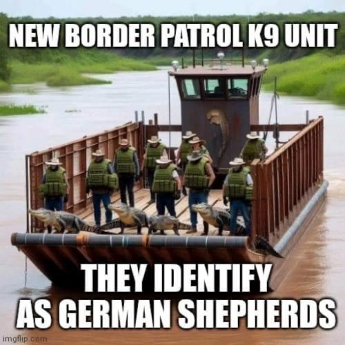 B Border patrol
