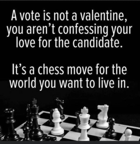 M chess move