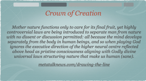 Screen Shot 2024-03-15 at 8.53.20 AM