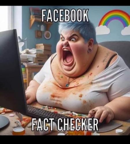 facebook fact checker