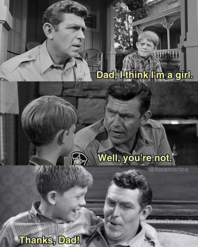 Andy Griffith, LGBT