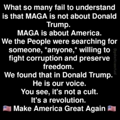X understand MAGA