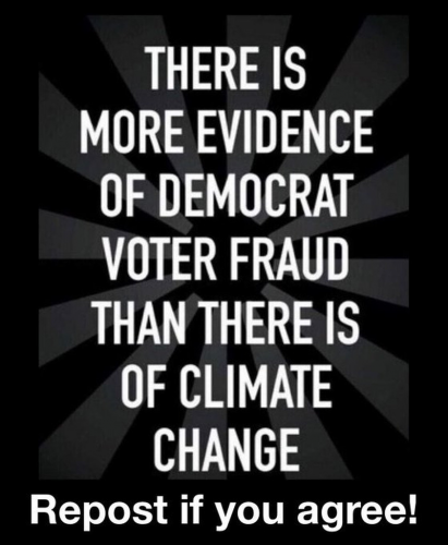 M Voter fraud 01