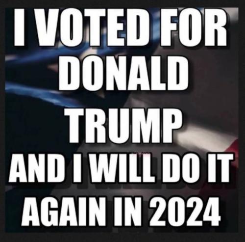 USA I voted for Trump