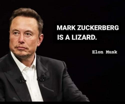 Mark Zuckerberg is a lizard Elon Musk