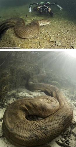 Screenshot_20240319-163637_Gallery