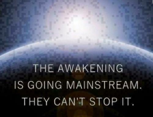 e328a23a6721b36e (1)