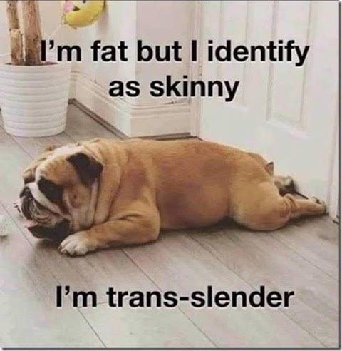 LGBT, Dog -- Trans-Slender, Fat but 'Identify' as Skinny