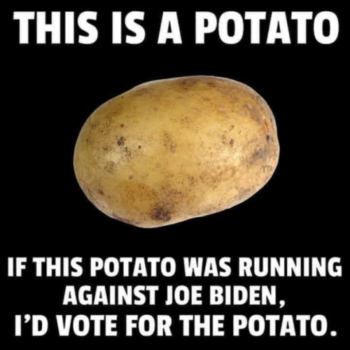 X potato