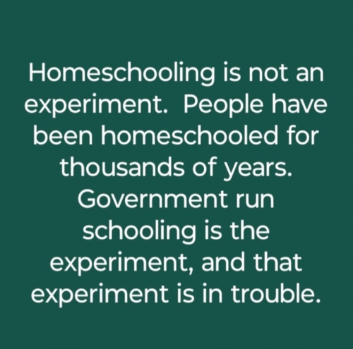 M home schooling