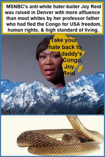 HATE PROFITEER JOY REID
