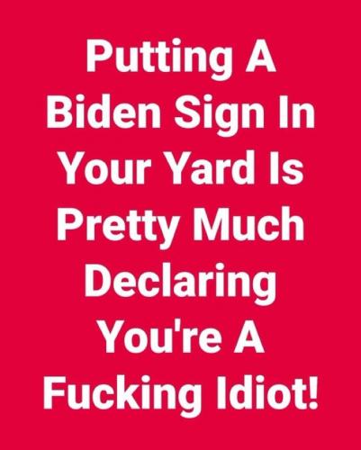 USA Biden sign in yard