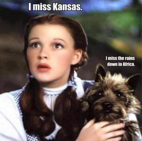 toto