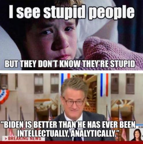 M stupid people