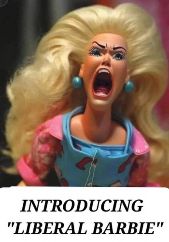 liberal barbie