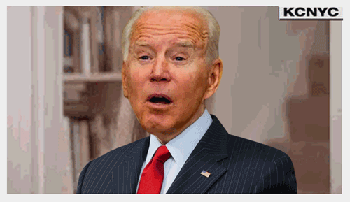Biden -- Let's Go Brandon Punch (GIF)