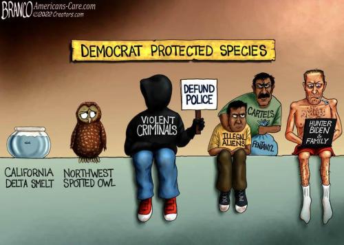 Enviromentalism, California Delta Smelt fish, NW Spotted Owl, Criminals, Defund Police, Illegal Immigration, Drugs, Cartel, Fentanyl, Hunter, Biden Family-- Democrat Protected Species