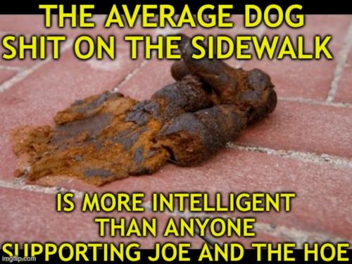 RO dog shit