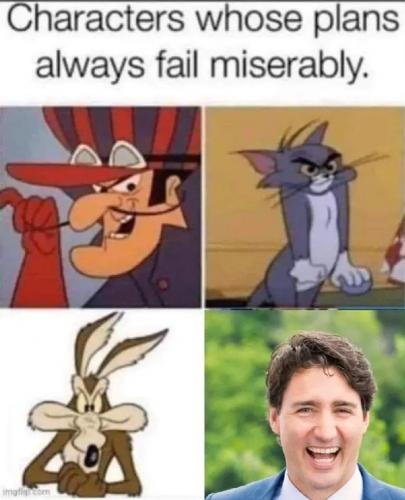 1000020205