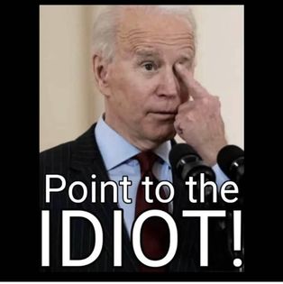 point idiot