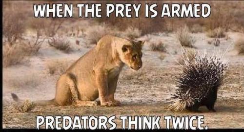 12814544_10205996374809489_2415314855955349608_n