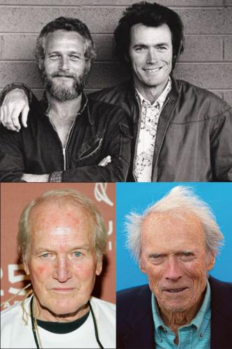 newman eastwood