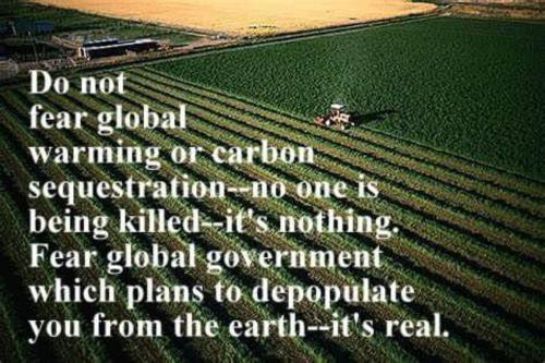 M fear global government