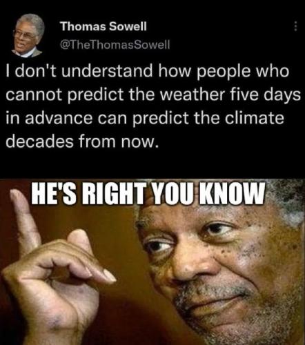 1000019595