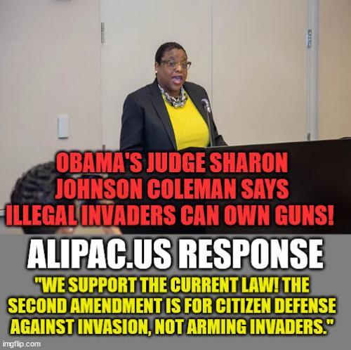 SharonJohnsonColemanTREASONillegalAliensCanOwnGunsLiberalTreason