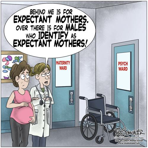 EXPECTANT MOMS CARTOON_(SCHOWALTER)