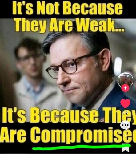 Screenshot_20240326-101542_Gallery