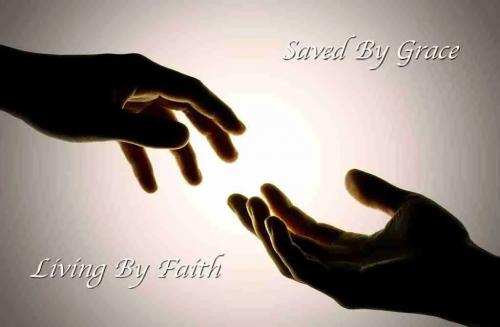 IMG_20240325_080850_012