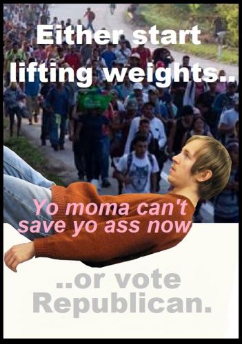 DEMOCRAT VOTER