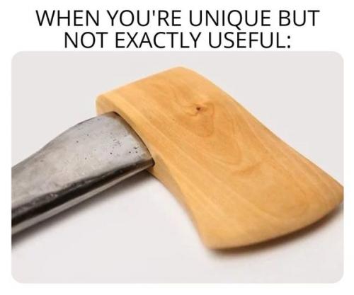433972430_324576583934101_8553810638189567983_n