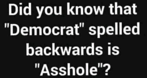 Screenshot_20240317-081801_Gallery