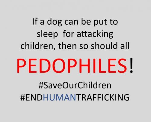B pedophiles