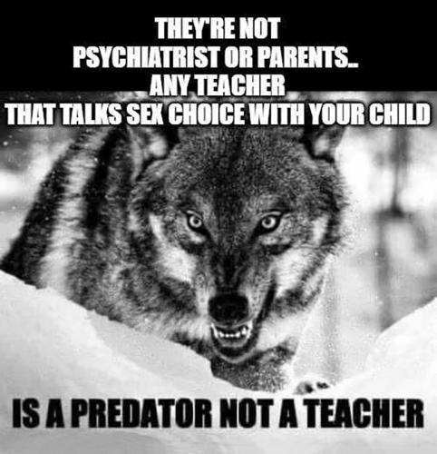 USA predator