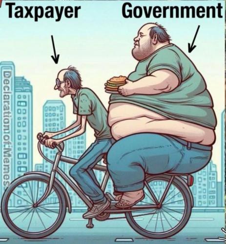 taxpayer