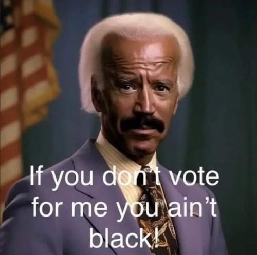 obiden you aint black